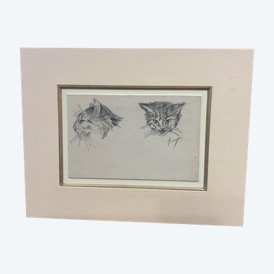 Le chaton signé Hélène VOGT 