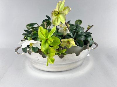 Silver metal glass cooler/planter