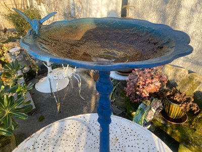 Bellissimo bagno per uccelli decorato su un supporto in ghisa Napoleone III laccato in blu intenso