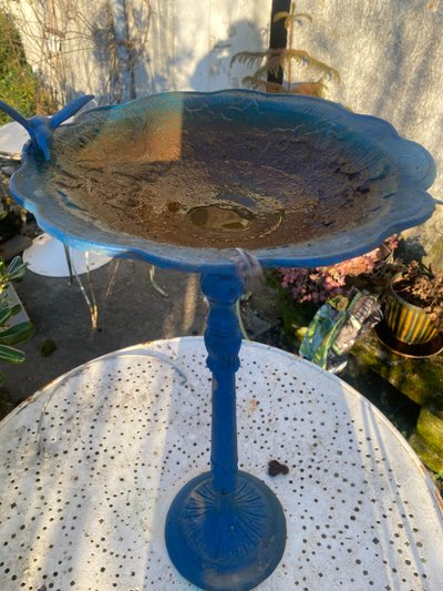 Bellissimo bagno per uccelli decorato su un supporto in ghisa Napoleone III laccato in blu intenso