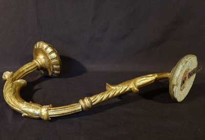 Pair Of Golden Wooden Light Arms
