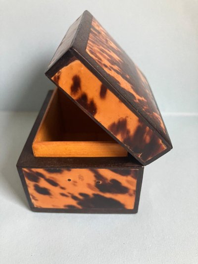 Turtle Shell Set