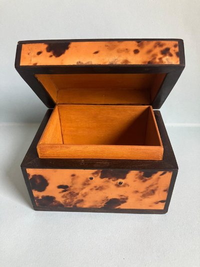 Turtle Shell Set