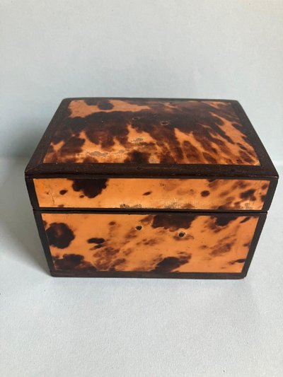 Turtle Shell Set