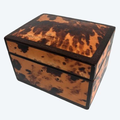 Turtle Shell Set