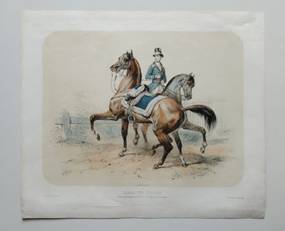 Pferde Lithographie Von Adam 19.