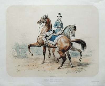 Pferde Lithographie Von Adam 19.