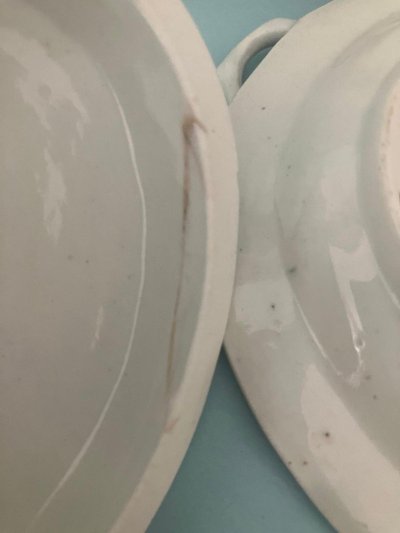 Worcester Fine Earthenware Terrine and Display Case