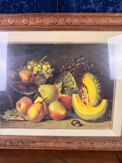 Chromolithographien mit Stillleben Cica 1880