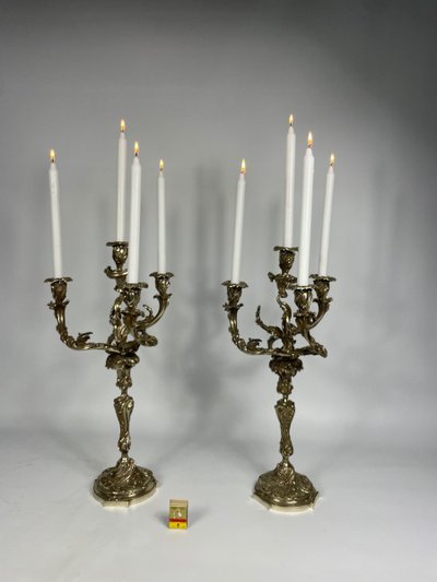Coppia di candelabri in stile Luigi XV in bronzo argentato 