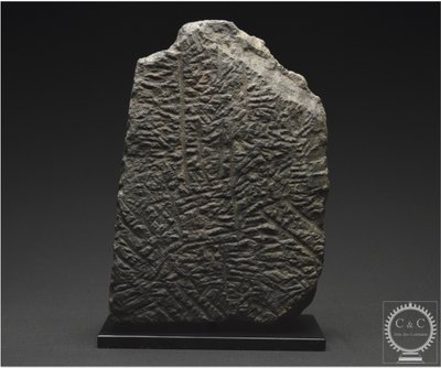 Inde, Dynastie Pāla-Sena, Xème-XIIème siècle, Fragment de stèle en pierre représentant Bouddha