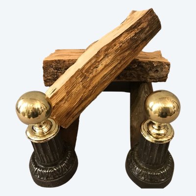 Pair of 19th century cast iron and brass andirons