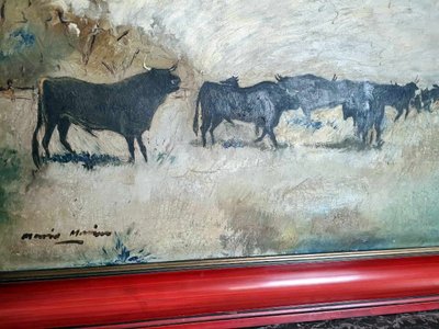 Olio su tela di grandi dimensioni "la Camargue