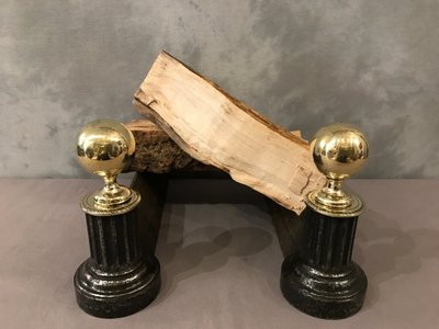 Pair of 19th century antique brass and cast iron andirons
