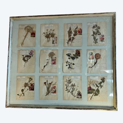 Botanische Malerei, 20. Jahrhundert 