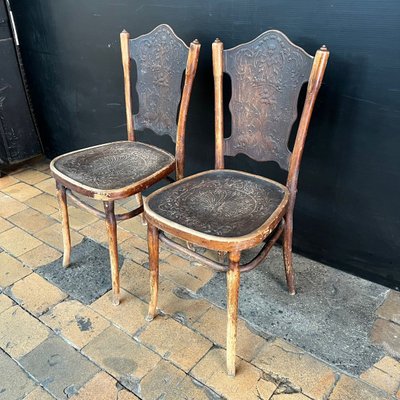 Viele Paare von Stühlen im Thonet-Stil