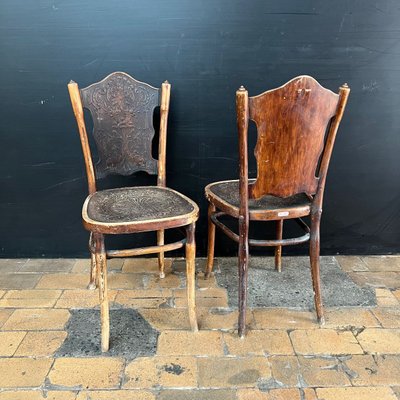 Viele Paare von Stühlen im Thonet-Stil