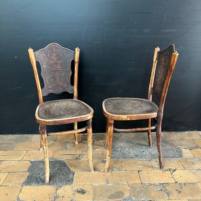Viele Paare von Stühlen im Thonet-Stil