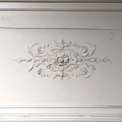 Set of wood paneling with its trumeau