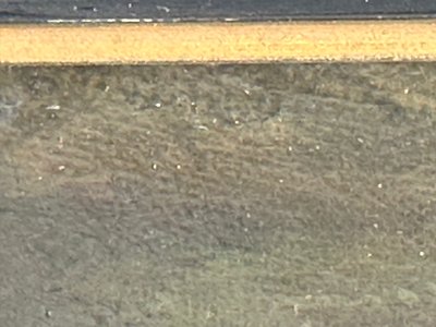 Pittura olandese