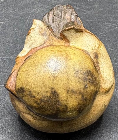 PICCOLO UCCELLO 