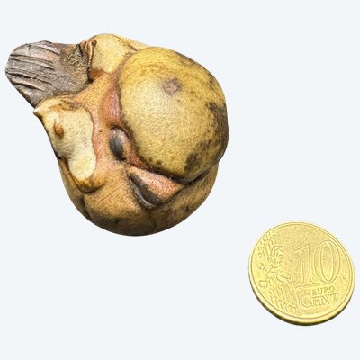 PICCOLO UCCELLO 