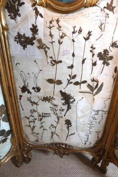 Paravento in legno dorato in stile Luigi XV, XIX secolo