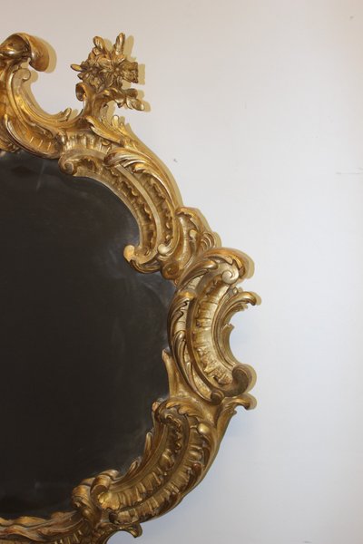 Grande specchio Luigi XV in stucco dorato XIX