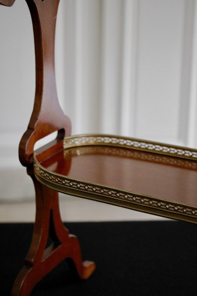 Mahagoni-Strickerin
