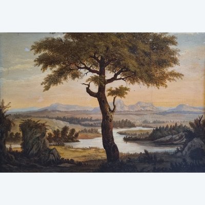 Südamerikanische Schule des 19. Jahrhunderts - Landschaft in einem Tal in der Nähe von Bergen und einem Baum