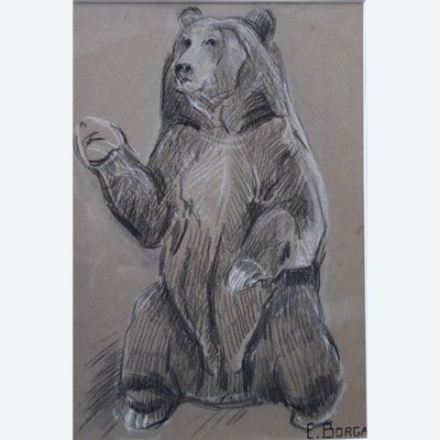 Eugène-Antoine Borga (1885-1964), study of Bear