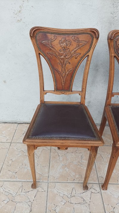 Louis Majorelle  6 chaises Art Nouveau  Chicorée 1900