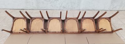 Louis Majorelle  6 chaises Art Nouveau  Chicorée 1900
