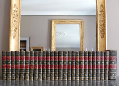 L'Histoire Naturelle de Buffon, 26 volumes et planches colorisées - belle reliure cuir - 1829