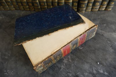 L'Histoire Naturelle de Buffon, 26 volumes et planches colorisées - belle reliure cuir - 1829