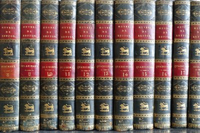 L'Histoire Naturelle de Buffon, 26 volumes et planches colorisées - belle reliure cuir - 1829