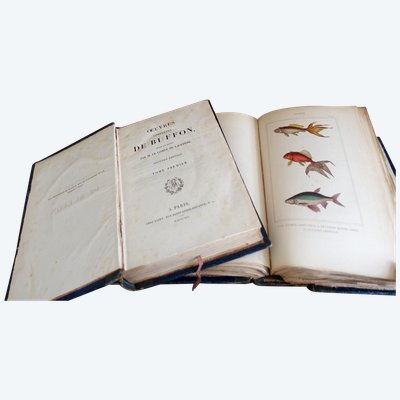 L'Histoire Naturelle de Buffon, 26 volumes et planches colorisées - belle reliure cuir - 1829