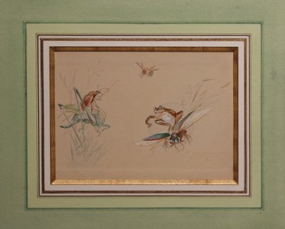 Humorous study 'Frog and insects' gouache drawing signed circa 1920