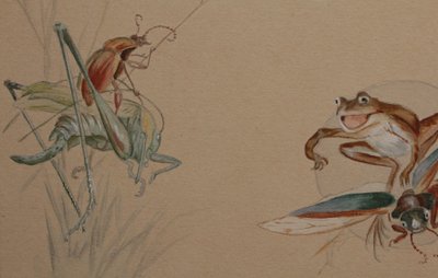 Humorous study 'Frog and insects' gouache drawing signed circa 1920