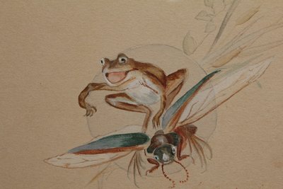 Humorous study 'Frog and insects' gouache drawing signed circa 1920