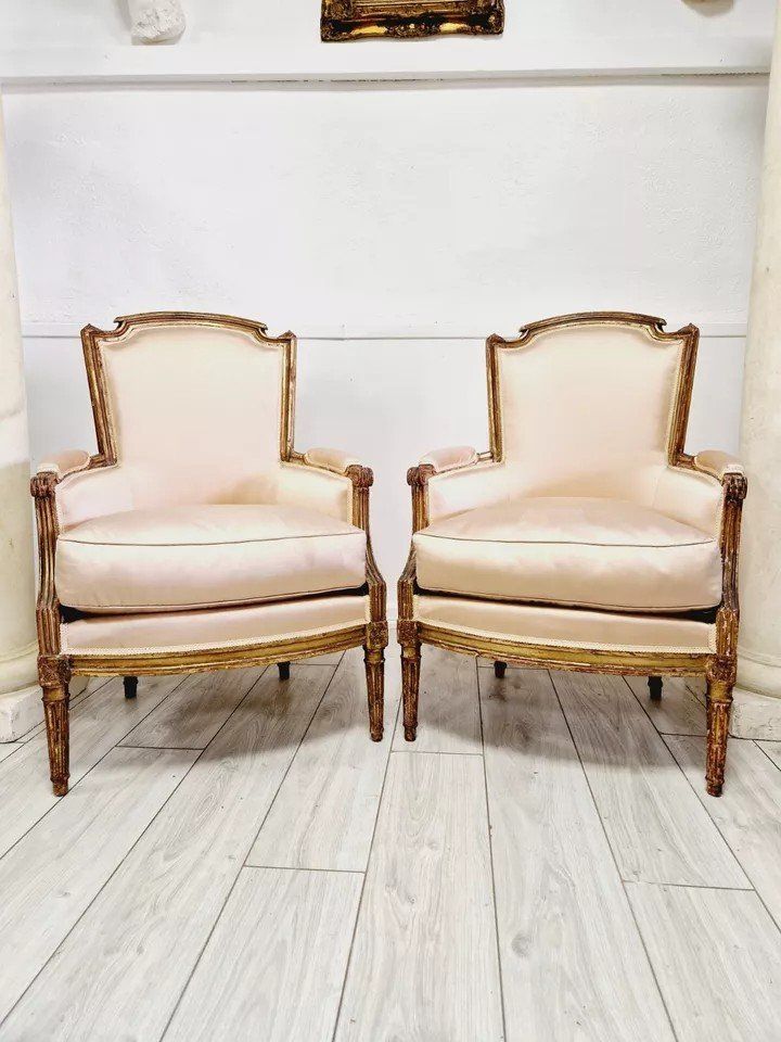 Paire De Fauteuils Bergères Anciens Louis XVI