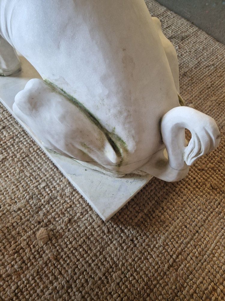 Coppia di statue di leoni in marmo antico **molto pesanti**