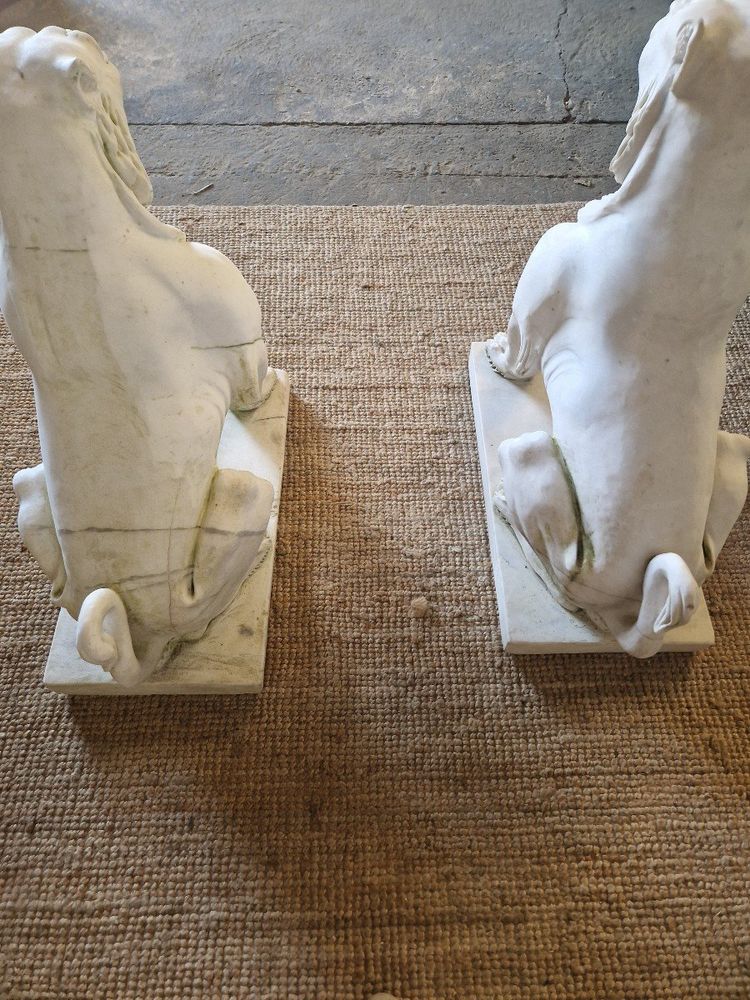 Coppia di statue di leoni in marmo antico **molto pesanti**