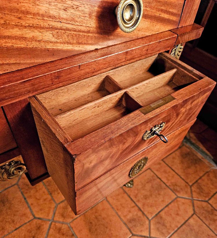 Empire Cylinder Desk Return from Egypt Mahogany and Gilt Bronze