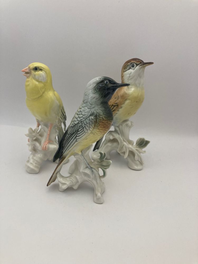 Birds Karl Ens