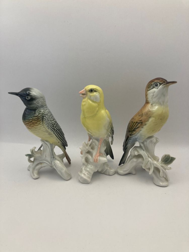 Birds Karl Ens