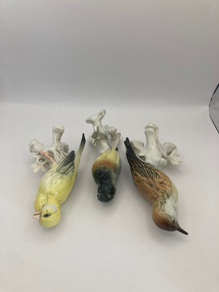 Birds Karl Ens