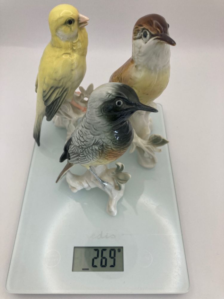 Birds Karl Ens