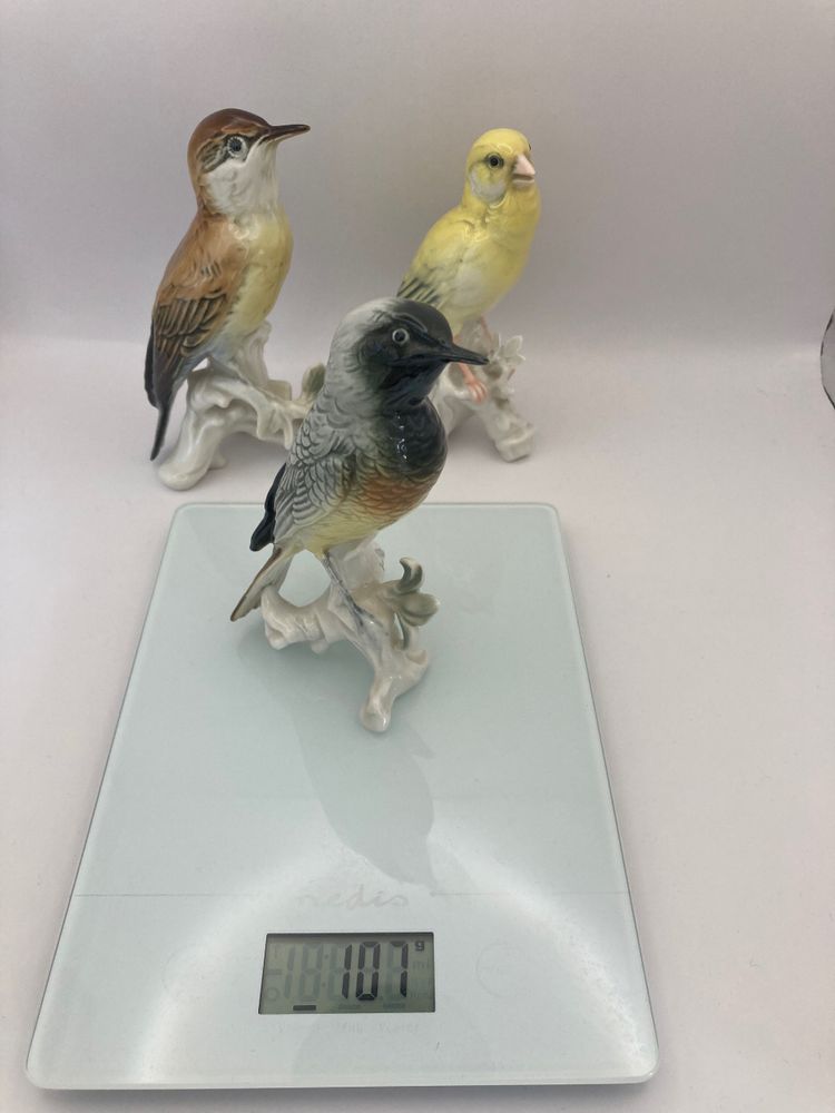 Birds Karl Ens