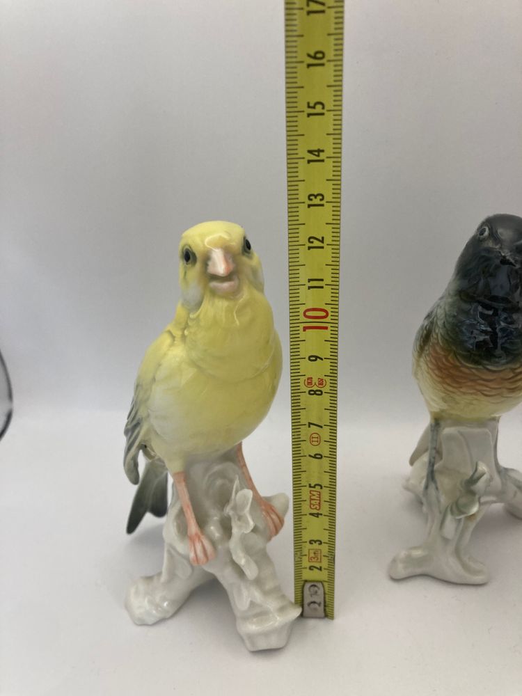 Birds Karl Ens